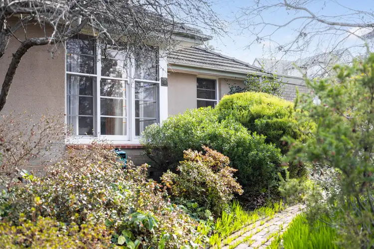 3 Greenhood Place, O'connor ACT 2602