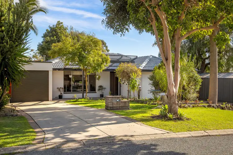 12 Arrow Avenue, Banksia Park SA 5091