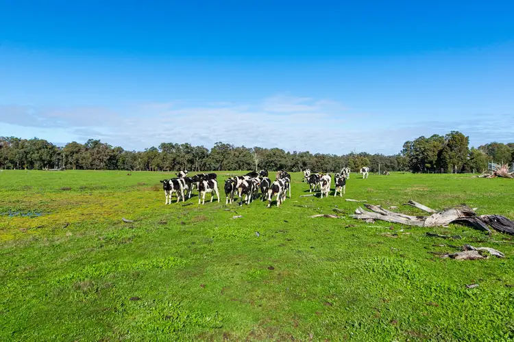 Second view of Homely land listing, Lot 1 Longbottom Road, Nannup WA 6275