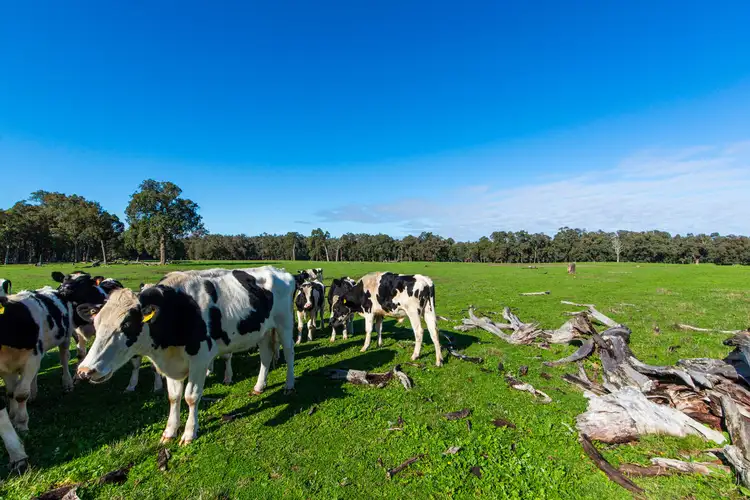 Sixth view of Homely land listing, Lot 1 Longbottom Road, Nannup WA 6275