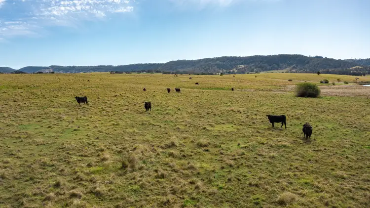Fourth view of Homely rural property listing, 1387 Bruxner Highway, Mckees Hill NSW 2480