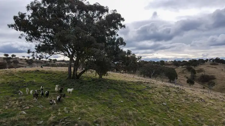 Fairview, Hill End Road, Hill End NSW 2850