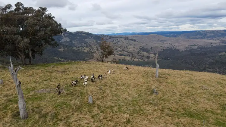 Second view of Homely rural property listing, Fairview, Hill End Road, Hill End NSW 2850