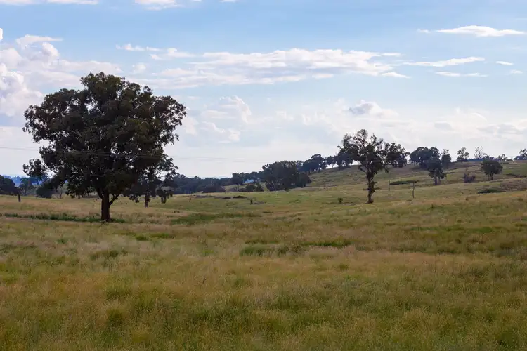 Fourth view of Homely rural property listing, Fairview, Hill End Road, Hill End NSW 2850