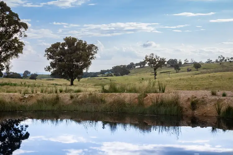 Fifth view of Homely rural property listing, Fairview, Hill End Road, Hill End NSW 2850