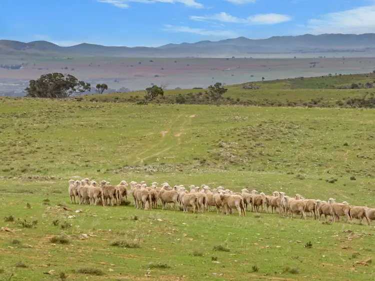 Main view of Homely rural property listing, 3798 Worlds End Highway, Bright SA 5381