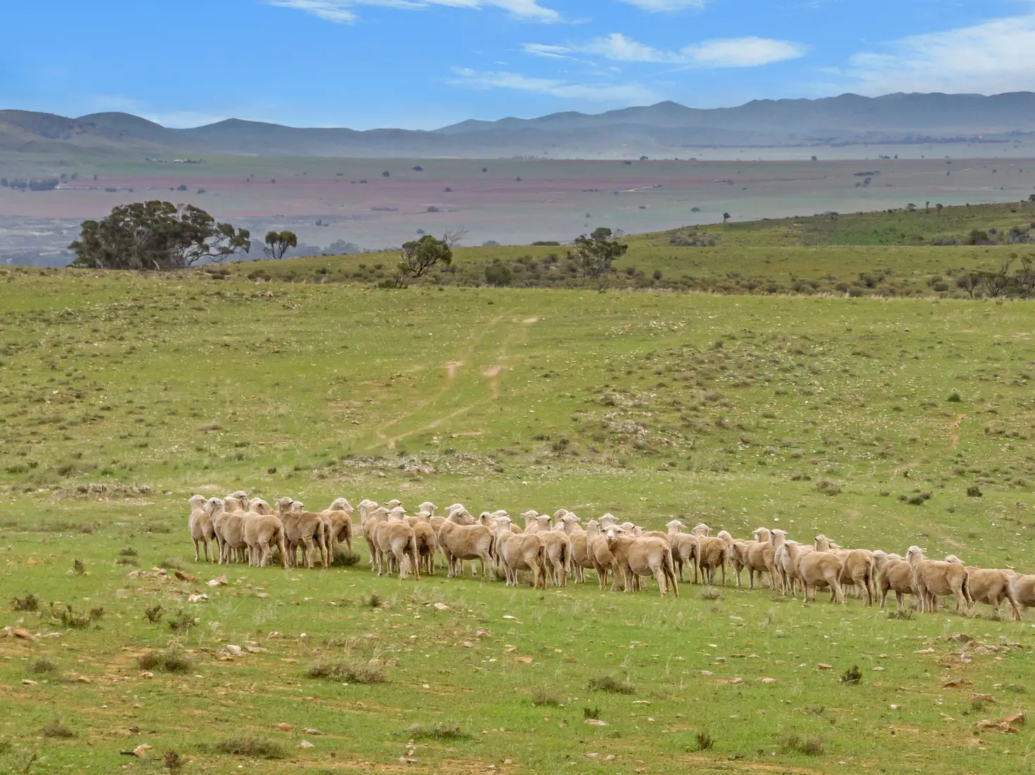 Main view of Homely rural property listing, 3798 Worlds End Highway, Bright SA 5381
