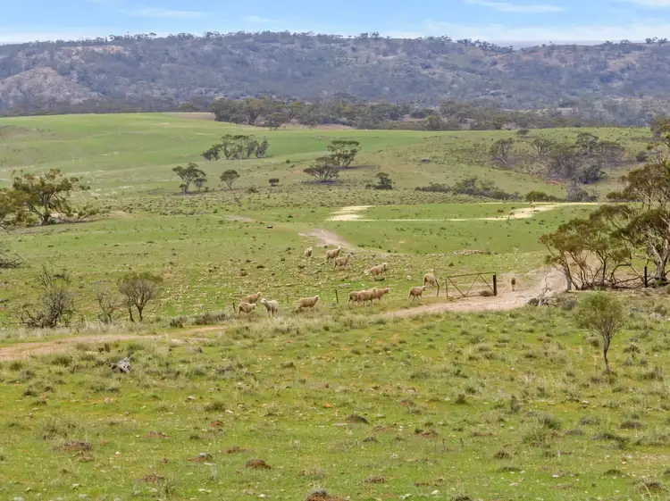 Sixth view of Homely rural property listing, 3798 Worlds End Highway, Bright SA 5381
