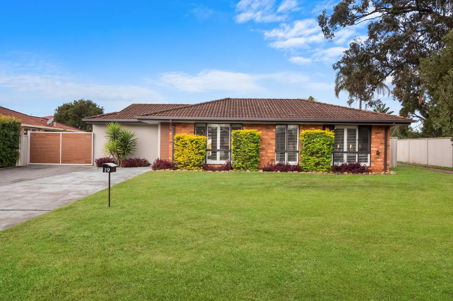 Main view of Homely house listing, 19 Dawes Place, Bligh Park NSW 2756
