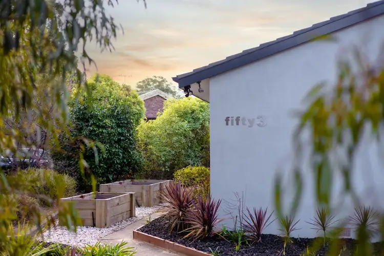 53 Liverpool Street, Macquarie ACT 2614