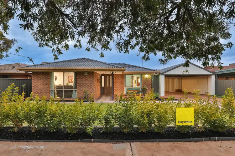 Main view of Homely house listing, 331 Walnut Avenue, Mildura VIC 3500