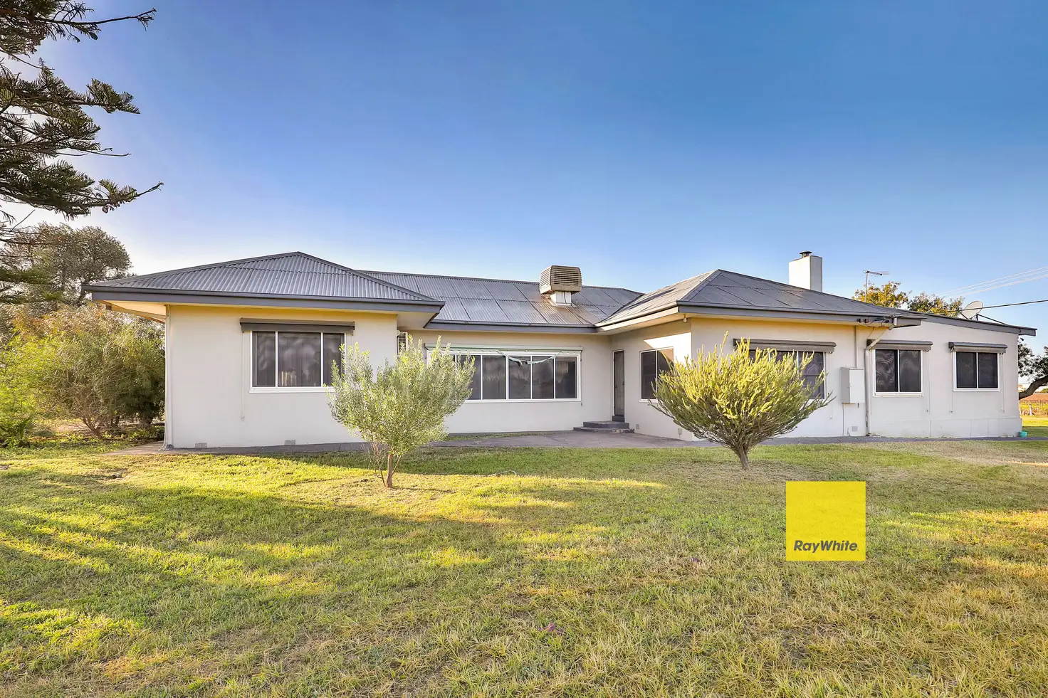 Main view of Homely house listing, 17 Ovens Avenue, Red Cliffs VIC 3496