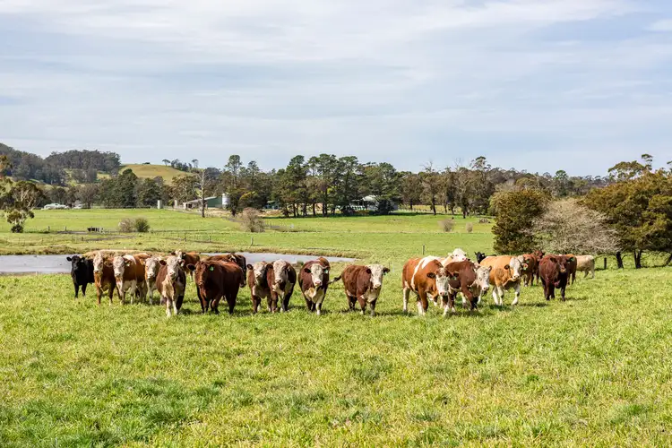 662 Sheepwash Road, Avoca NSW 2577