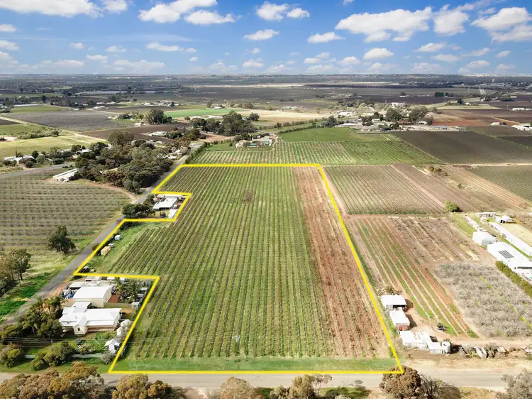 Main view of Homely rural property listing, Lot 201 Chino Street, Renmark West SA 5341