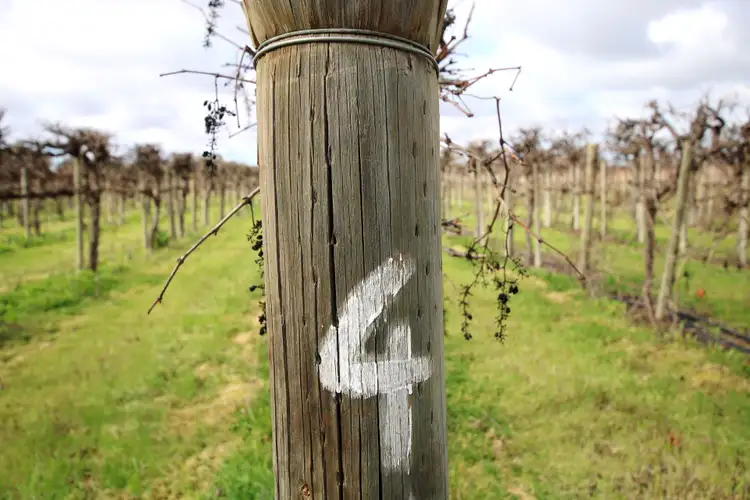 Fifth view of Homely rural property listing, Lot 201 Chino Street, Renmark West SA 5341