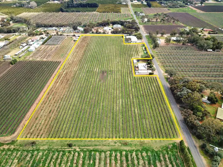 Seventh view of Homely rural property listing, Lot 201 Chino Street, Renmark West SA 5341