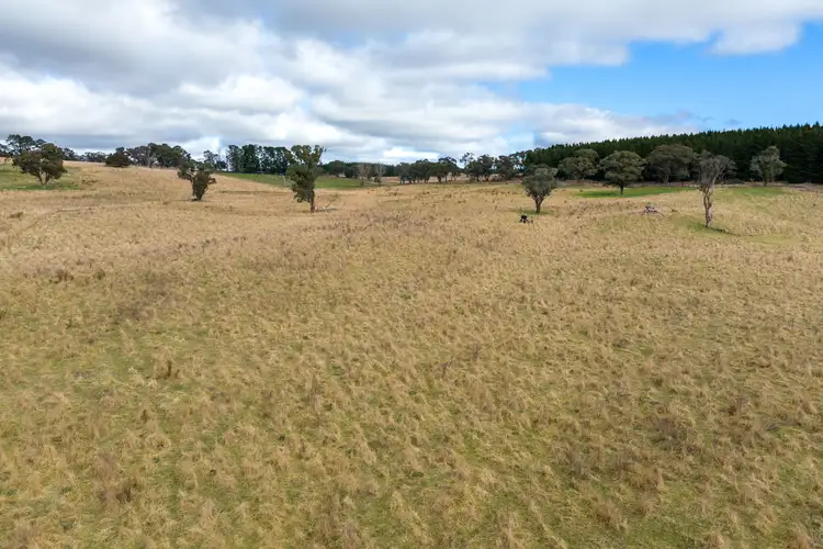 Fourth view of Homely rural property listing, 727 Swallows Nest Road, Oberon NSW 2787
