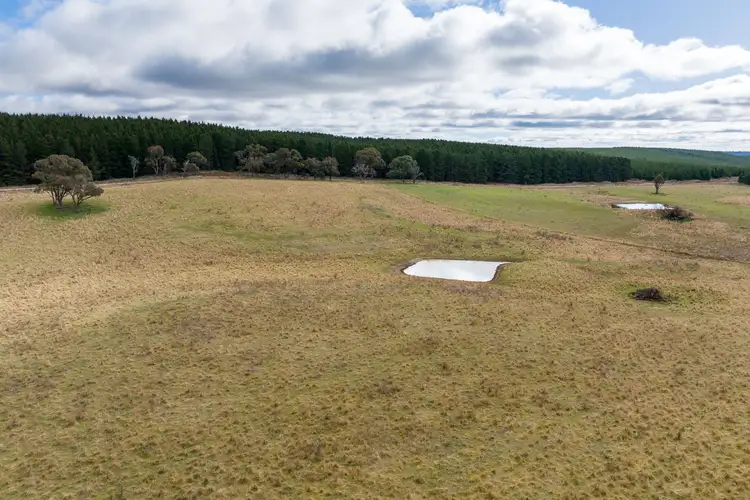 Sixth view of Homely rural property listing, 727 Swallows Nest Road, Oberon NSW 2787