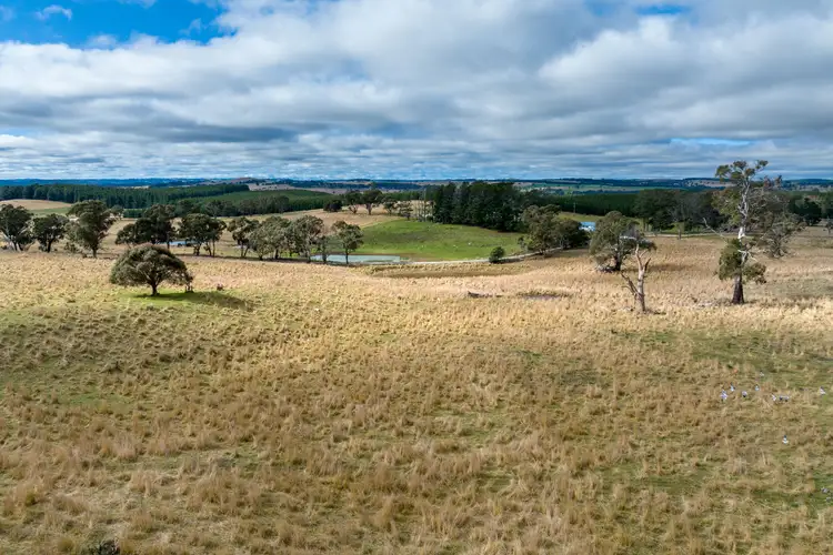 Seventh view of Homely rural property listing, 727 Swallows Nest Road, Oberon NSW 2787