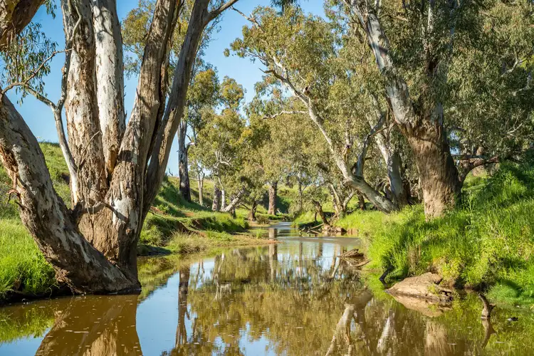 'South Merton' 166 Obley Road, Dubbo NSW 2830
