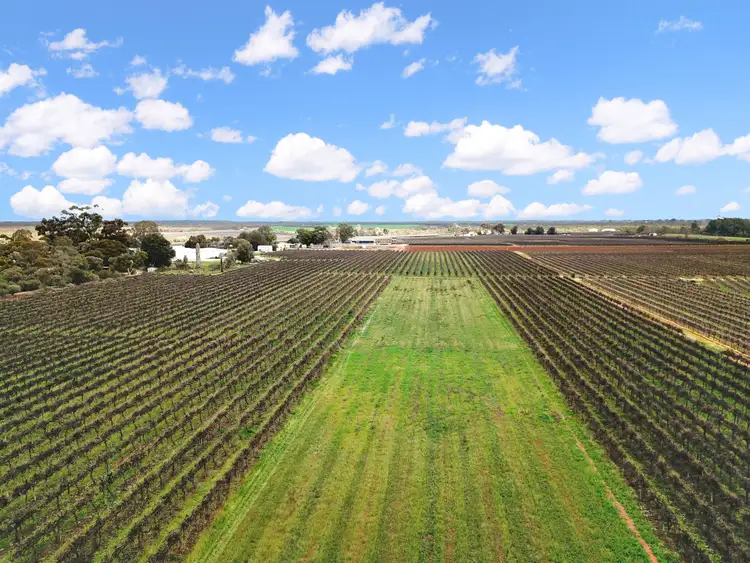 Second view of Homely rural property listing, Lot 1 Dalziel Road, Winkie SA 5343
