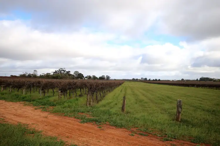 Third view of Homely rural property listing, Lot 1 Dalziel Road, Winkie SA 5343