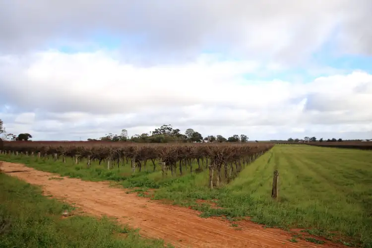 Seventh view of Homely rural property listing, Lot 1 Dalziel Road, Winkie SA 5343