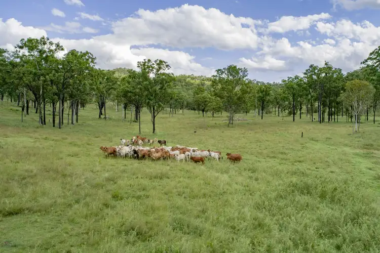 Third view of Homely rural property listing, Serpentine Creek Wide Bay Highway, Woolooga QLD 4570