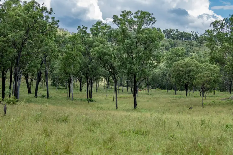 Fifth view of Homely rural property listing, Serpentine Creek Wide Bay Highway, Woolooga QLD 4570