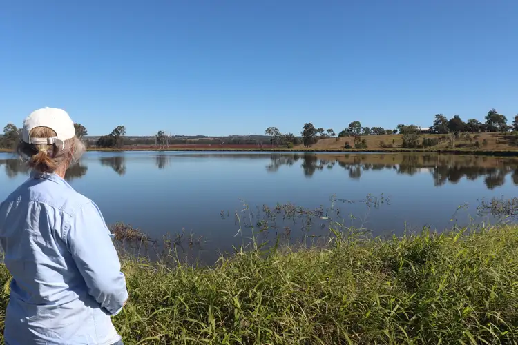 Second view of Homely rural property listing, 620 Hivesville Windera Road, Marshlands QLD 4611