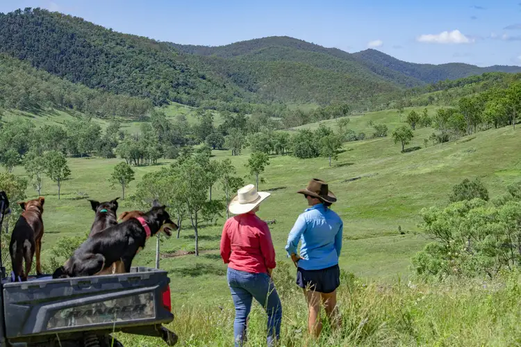 Main view of Homely rural property listing, 'Tullamore' Dray Road, Woolooga QLD 4570