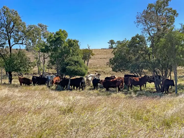 Fourth view of Homely rural property listing, Brentwood/171 Lucys Road, Goovigen QLD 4702