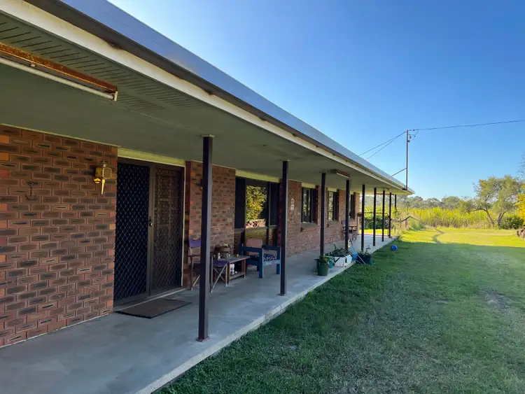 Main view of Homely house listing, 768 Teddington Road, Tinana QLD 4650