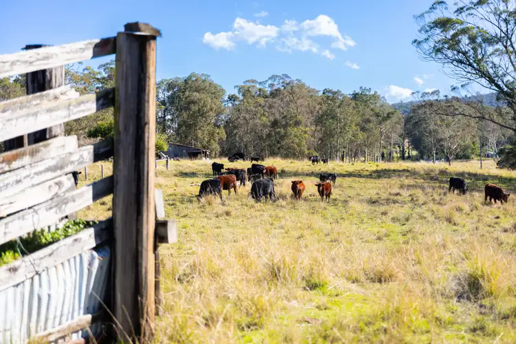 Sixth view of Homely rural property listing, 1950 The Bucketts Way, Booral NSW 2425