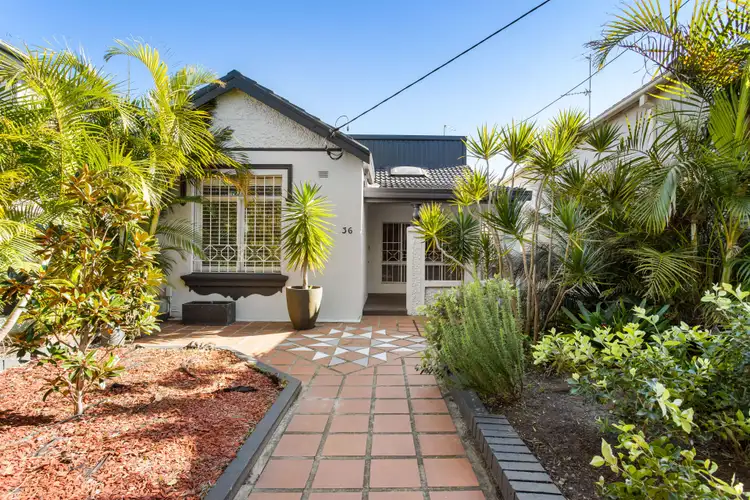 36 Canberra Street, Randwick NSW 2031