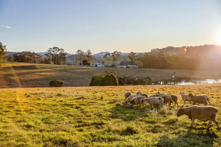 351 Monkerai Road, Main Creek NSW 2420