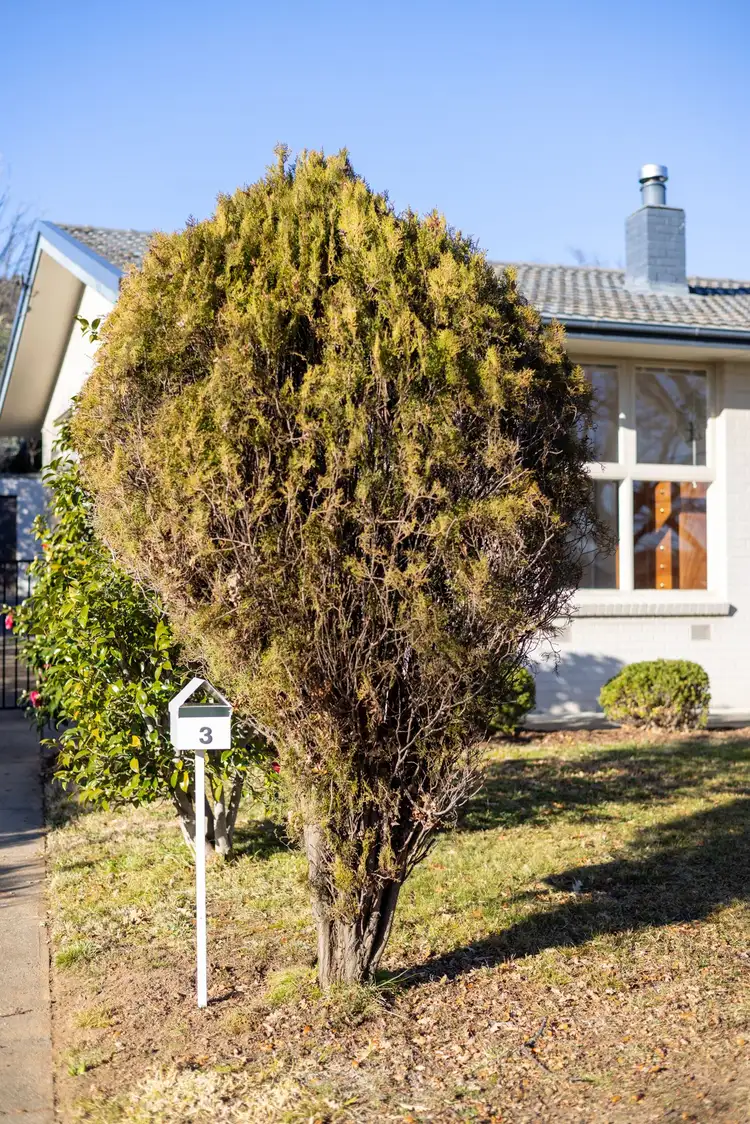 Fifth view of Homely house listing, 3 Discovery Street, Red Hill ACT 2603