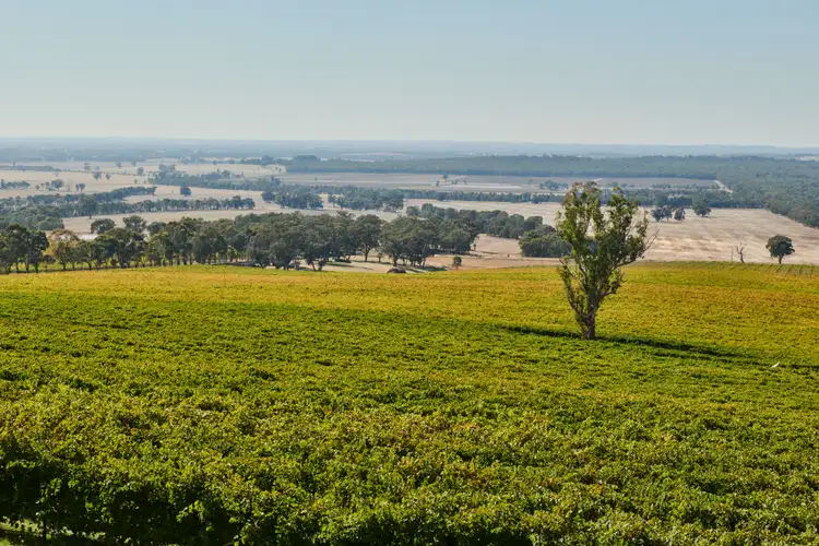 Third view of Homely land listing, LOT 1, 60 Caldwell Street, Heathcote VIC 3523