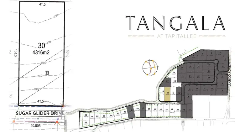Lot 30, Tangala Estate, Illaroo Road, Tapitallee NSW 2540