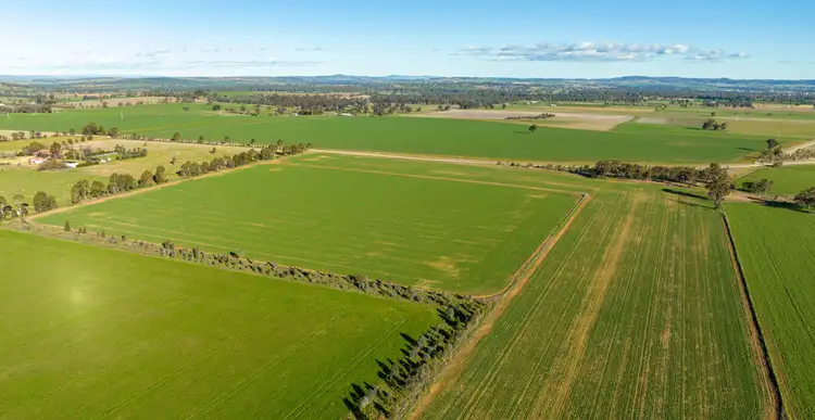 Second view of Homely rural property listing, 120 Dunns Road, Bomen NSW 2650
