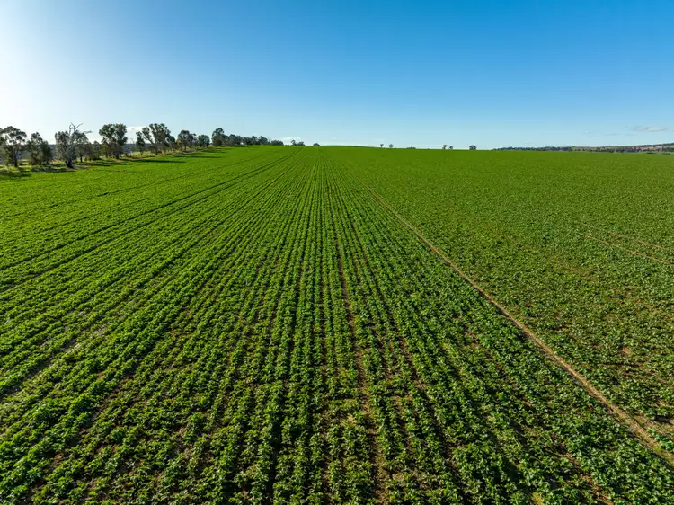 Third view of Homely rural property listing, 120 Dunns Road, Bomen NSW 2650