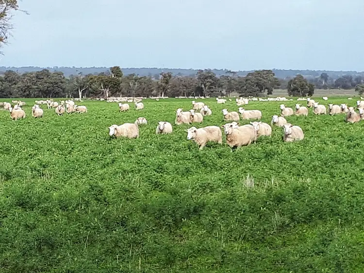 Second view of Homely rural property listing, 272 Wooldridge Road, Arthur River WA 6315