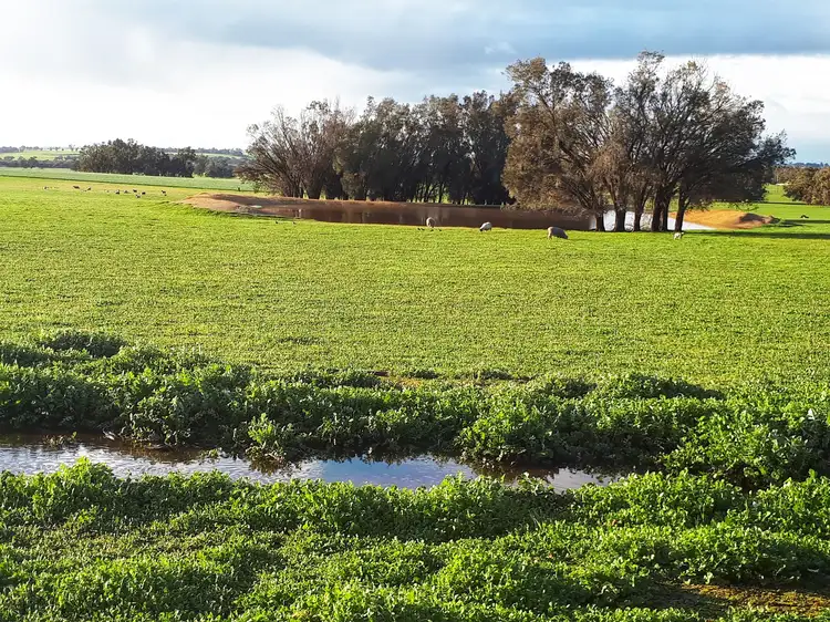 Third view of Homely rural property listing, 272 Wooldridge Road, Arthur River WA 6315
