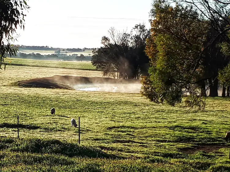 Fourth view of Homely rural property listing, 272 Wooldridge Road, Arthur River WA 6315