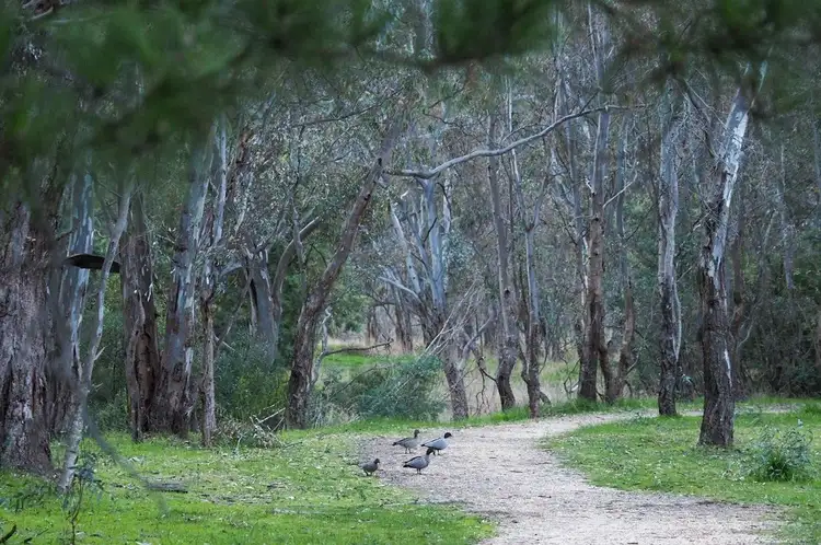 Fourth view of Homely land listing, LOT 4, 60 Caldwell Street, Heathcote VIC 3523