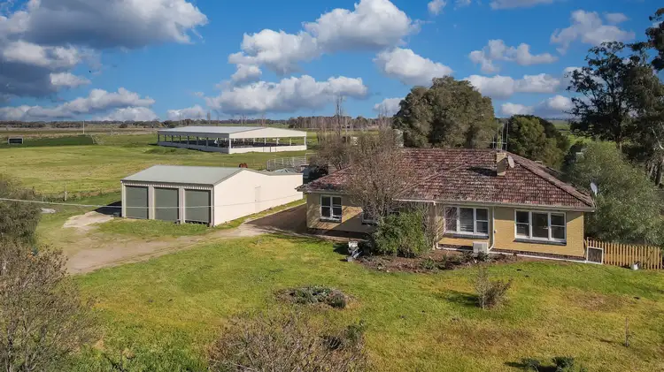 Main view of Homely house listing, 3871 Bendigo - Pyramid Road, Dingee VIC 3571