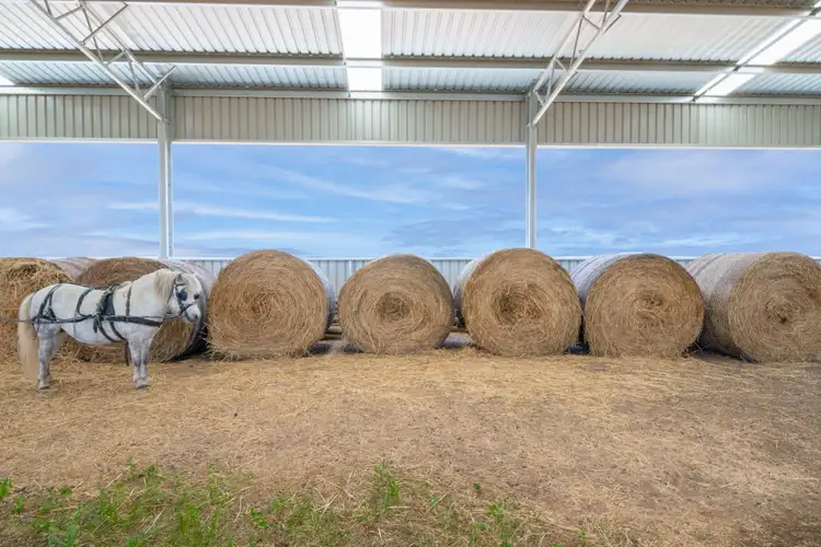 Seventh view of Homely house listing, 3871 Bendigo - Pyramid Road, Dingee VIC 3571
