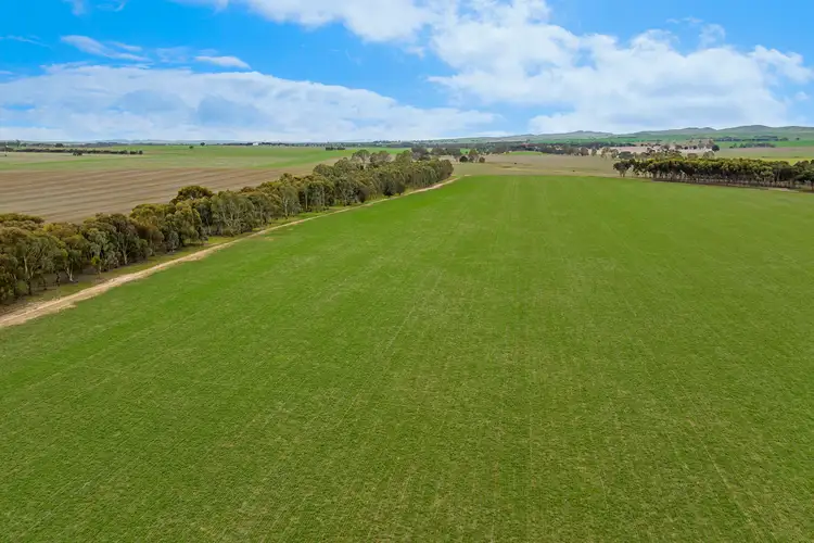 Main view of Homely rural property listing, 'South Farm' 206 Lally Road, Hill River SA 5453