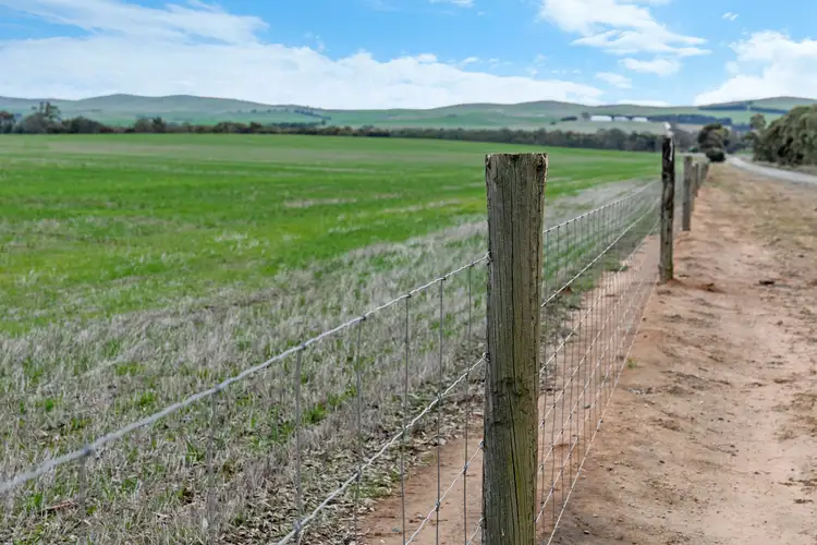 Fourth view of Homely rural property listing, 'South Farm' 206 Lally Road, Hill River SA 5453