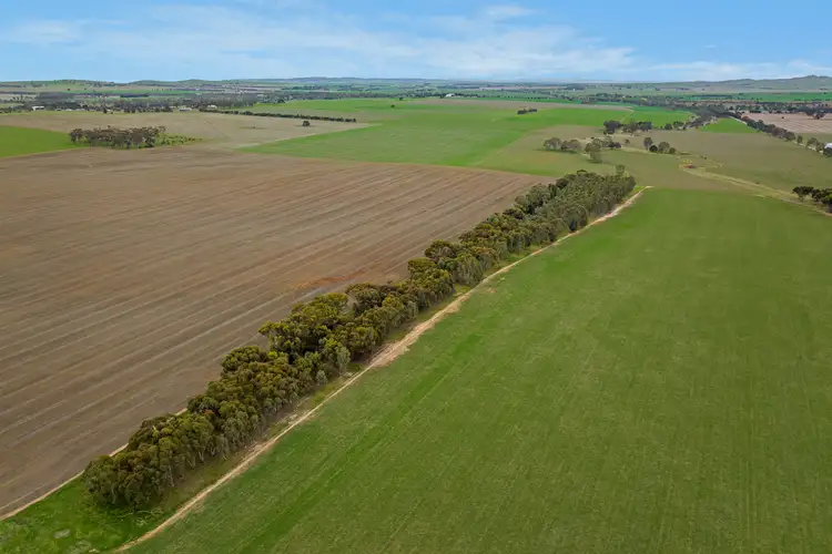 Fifth view of Homely rural property listing, 'South Farm' 206 Lally Road, Hill River SA 5453